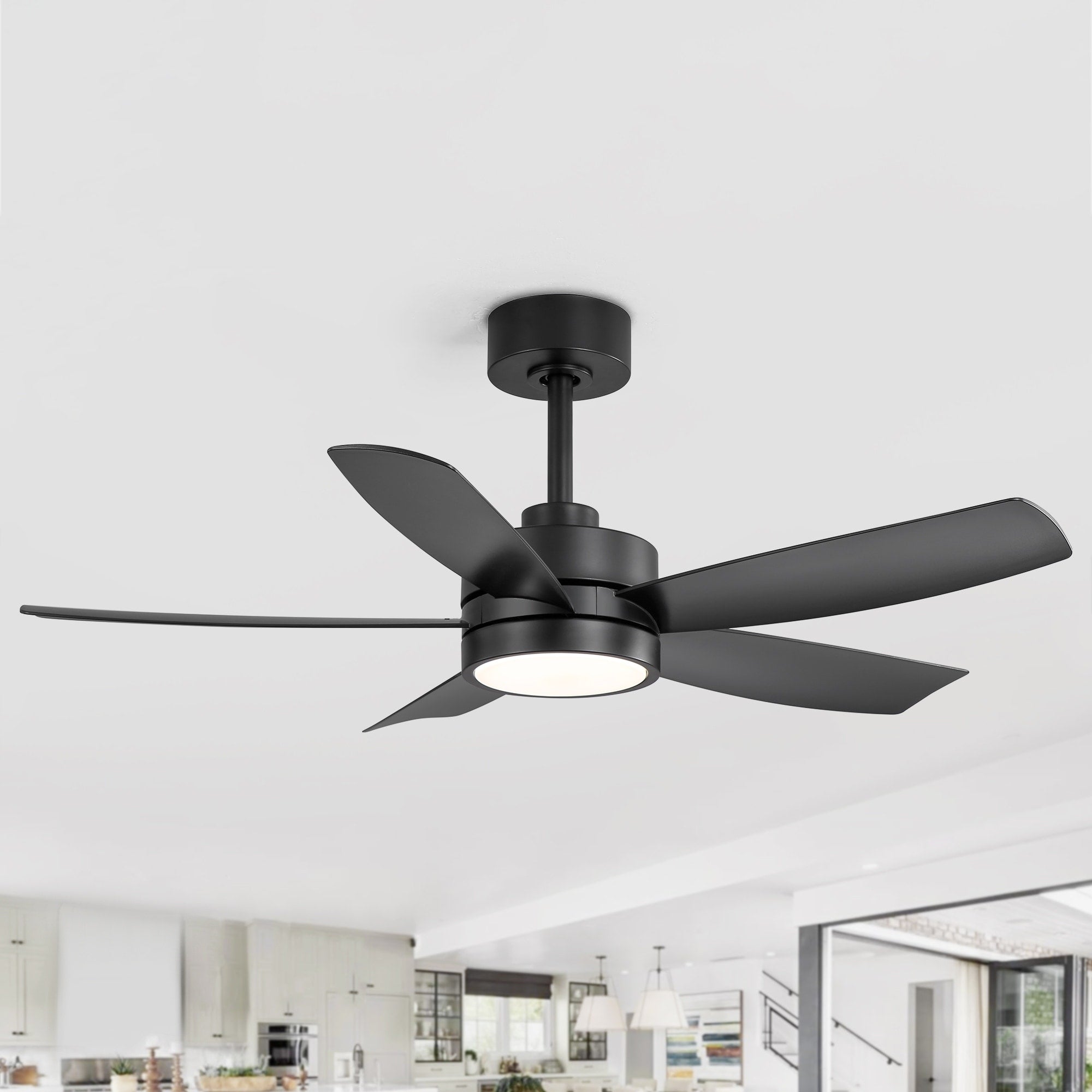 Breezary 65/52/42 5-Blade LED Ceiling Fan with Light Kit and Remote