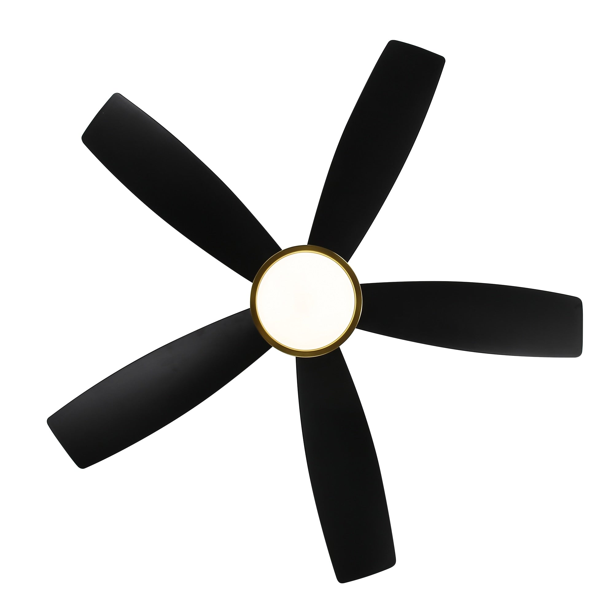 Breezary 65/52/42 5-Blade LED Ceiling Fan with Light Kit and Remote