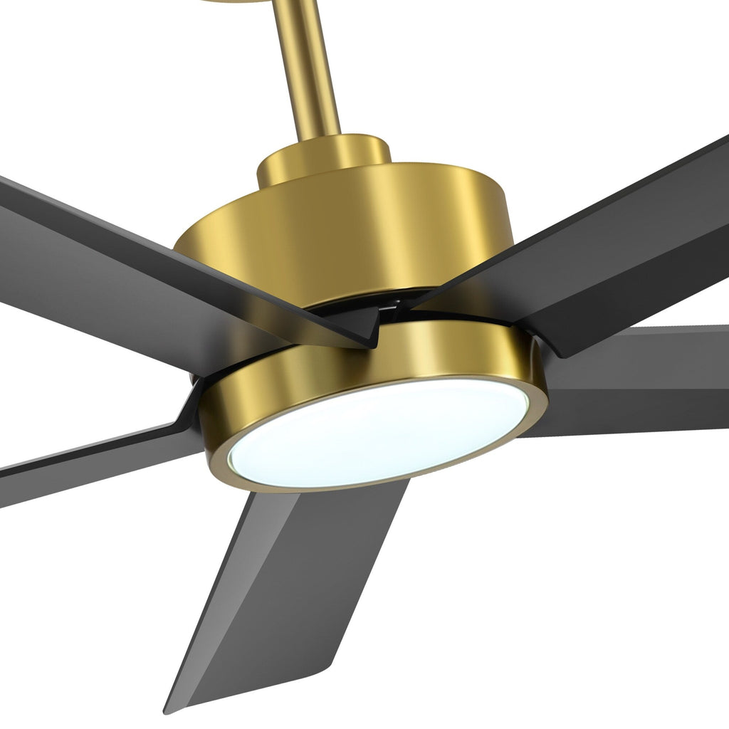 Breezary 65/52/42 5-Blade LED Ceiling Fan with Light Kit and Remote