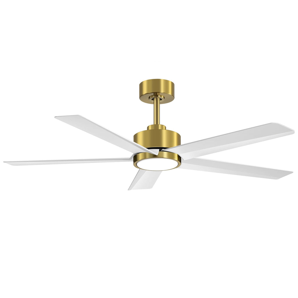 Breezary 65/52/42 5-Blade LED Ceiling Fan with Light Kit and Remote