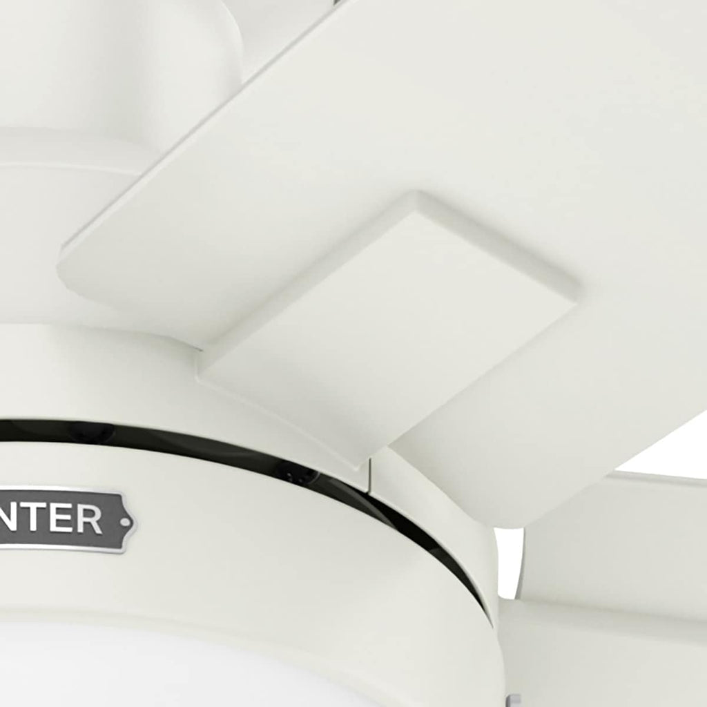 Hunter 52 Anisten Low Profile Ceiling Fan with LED Light and Pull Chain - Modern, Contemporary, Transitional