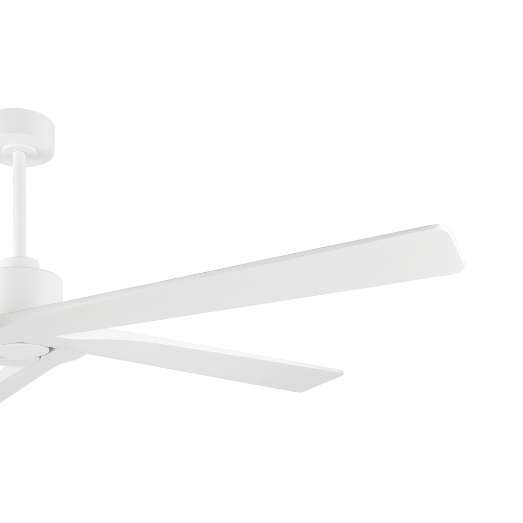 WINGBO 54 Inch DC Motor Indoor Ceiling Fan without Lights - N/A