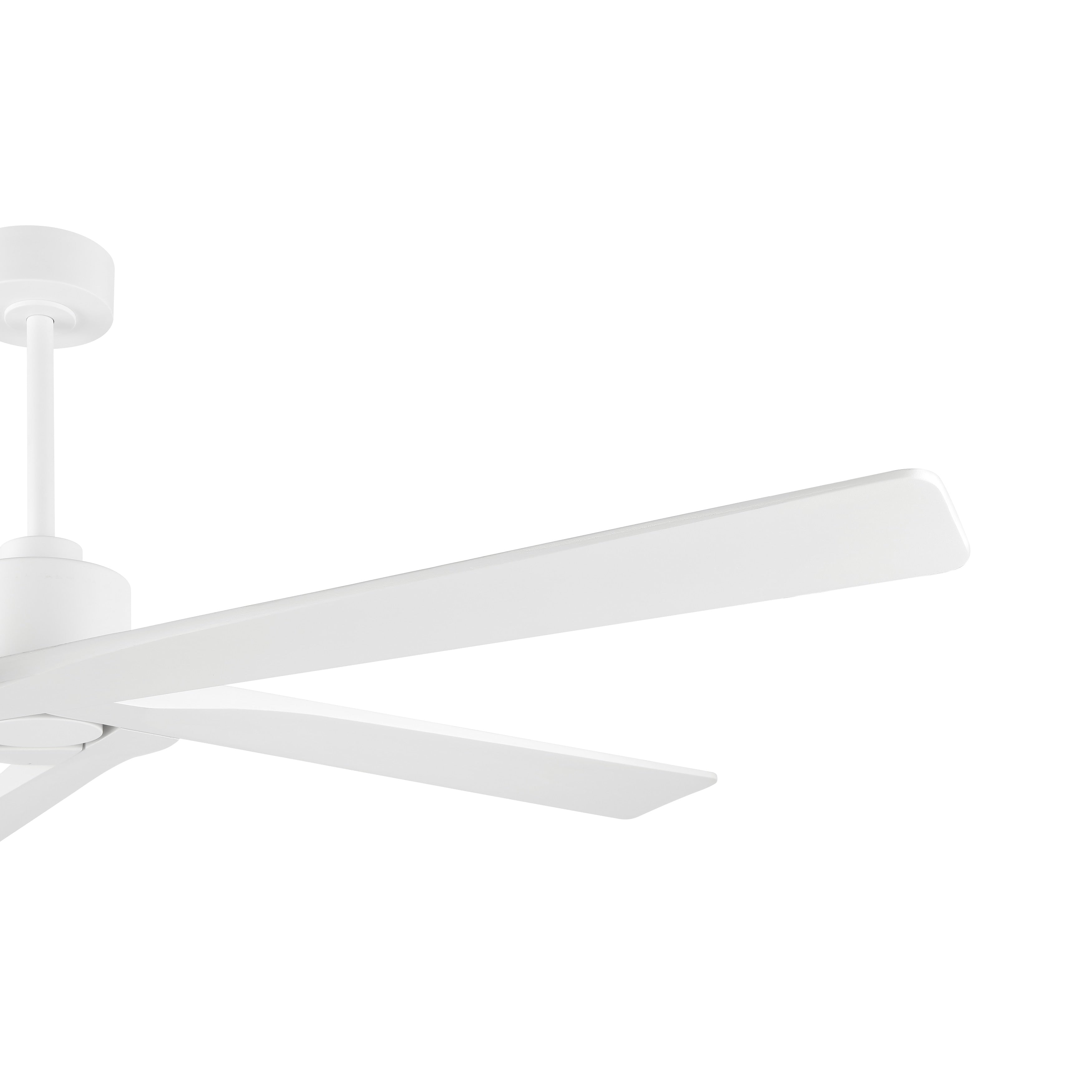 WINGBO 54 Inch DC Motor Indoor Ceiling Fan without Lights - N/A